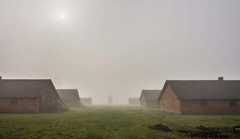 From Krakow: Auschwitz-Birkenau Guided Tour with Transport - The Guide Experience: Respectful, Clear, and Built for Questions
