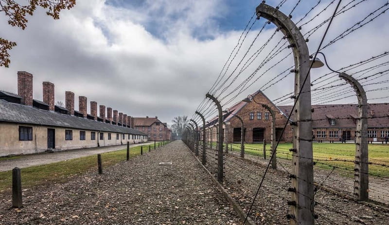 From Krakow: Auschwitz-Birkenau Guided Tour with Transport - Food, Toilets, and Timing: Don’t Count on Buying Much On-Site
