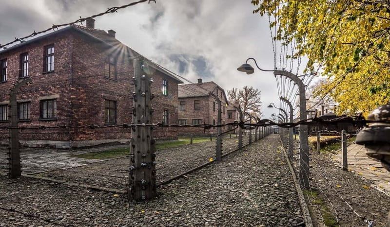 From Krakow: Auschwitz-Birkenau Guided Tour with Transport - Price and Value: What You’re Paying For (and What You’re Not)