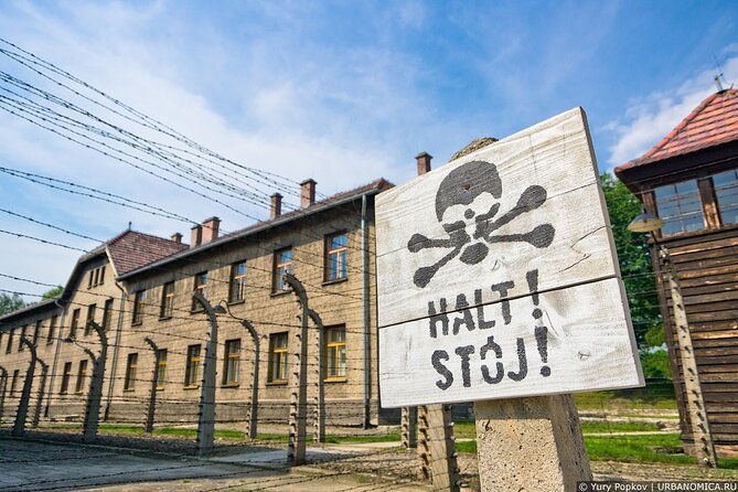 From Krakow: Auschwitz-Birkenau: Guided Tours & Private Transport - Inside The Museum Tour: What You’ll Actually Be Doing In Auschwitz