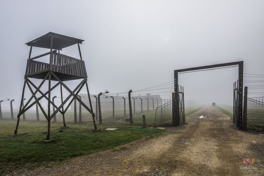 From Krakow: Auschwitz-Birkenau Live Guided Tour & Pickup - Who This Tour Suits Best (and Who Should Rethink It)
