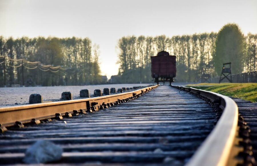 From Krakow: Auschwitz-Birkenau Live Guided Tour & Pickup - Price and Value: What $21 Really Buys