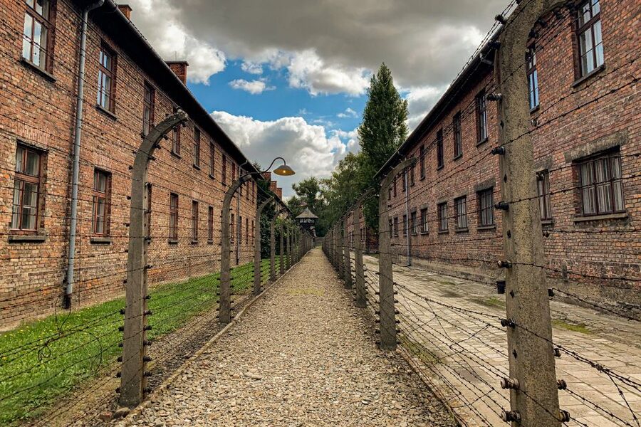 From Krakow: Auschwitz-Birkenau Memorial and Museum Tour - Key Things I’d Bet You’ll Care About
