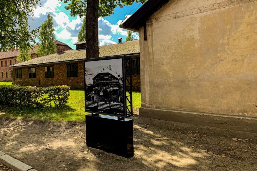 From Krakow: Auschwitz-Birkenau Memorial and Museum Tour - Birkenau II: Watchtowers, Fences, Barracks, and Gas Chamber Remains