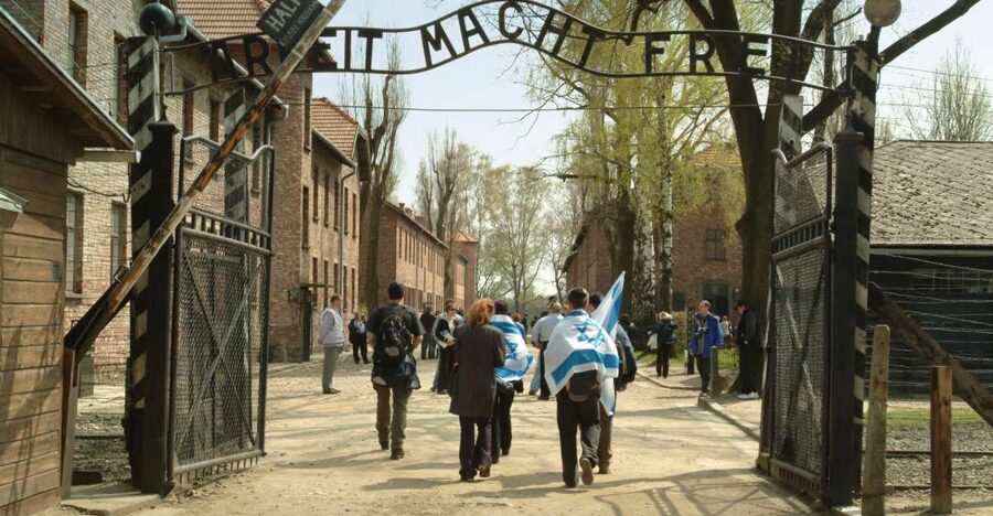 From Krakow: Auschwitz-Birkenau Memorial and Museum Tour - Your Guide Matters: Live Explanations and Sensitive Topic Handling