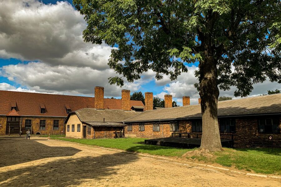 From Krakow: Auschwitz-Birkenau Memorial and Museum Tour - Walking, Weather, and the 15-Minute Snack Break You’ll Actually Use