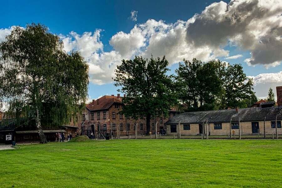 From Krakow: Auschwitz-Birkenau Memorial and Museum Tour - Price and Value at $81: What You Get for a Long, Serious Day