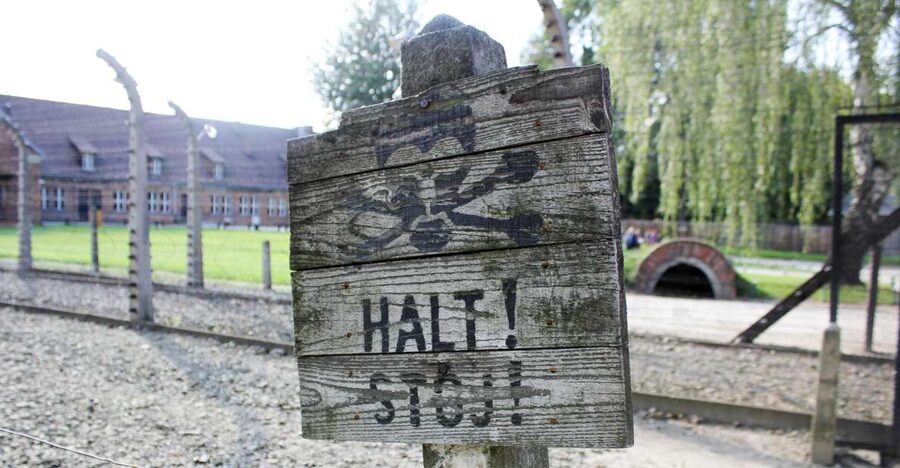 From Kraków: Auschwitz-Birkenau Memorial Guided Tour - Key highlights to know before you go