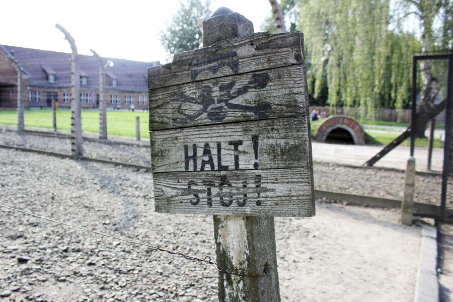 From Kraków: Auschwitz-Birkenau Memorial Guided Tour - The coach ride: 1.5 hours to reset before the memorial