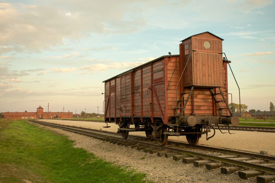 From Kraków: Auschwitz-Birkenau Memorial Guided Tour - Price and value: what $41 gets you (and what it doesn’t)