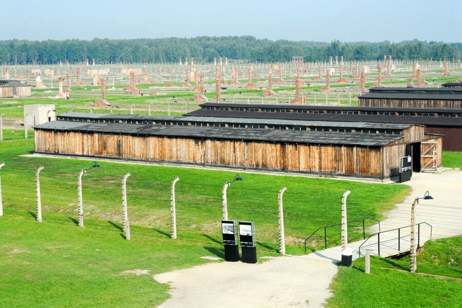 From Kraków: Auschwitz-Birkenau Memorial Guided Tour - Group size and pace: why max 15 people can matter