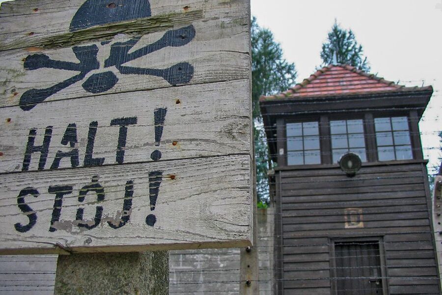 From Krakow: Auschwitz-Birkenau Private or Shared Tour - Who this tour is best for (and who should rethink it)