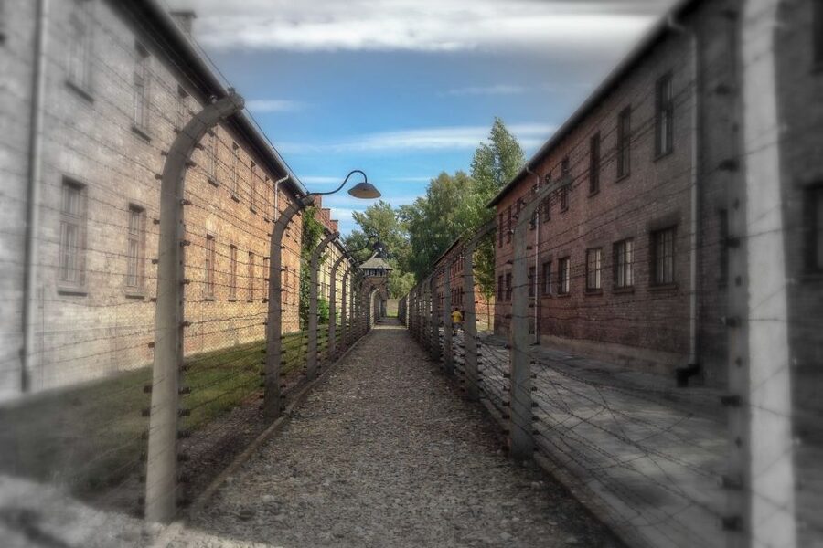 From Krakow: Auschwitz-Birkenau Private or Shared Tour - The short break and the internal bus: the day’s hinge moment