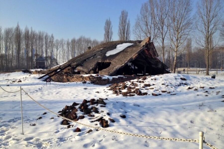 From Krakow: Auschwitz-Birkenau Private or Shared Tour - Auschwitz II-Birkenau in about 1 hour: scale, crowds, and focus