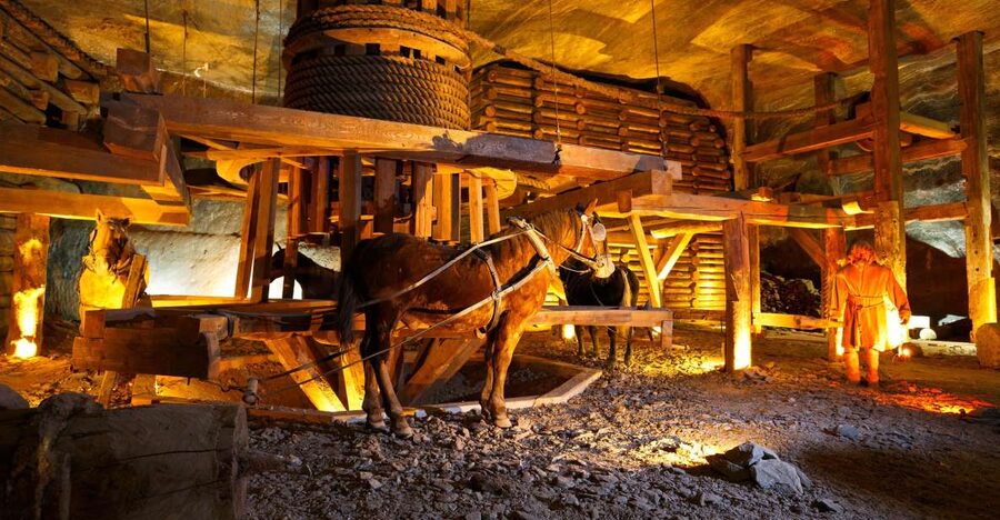 From Krakow: Auschwitz-Birkenau & Salt Mines with Lunch - Key Things I’d Book This For