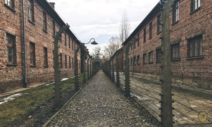 From Krakow: Auschwitz Birkenau Self-Guided Tour - Key points before you go