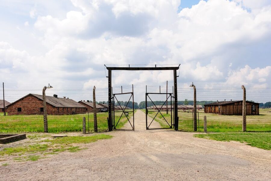 From Krakow: Auschwitz Birkenau Self-Guided Tour - Pickup, drop-off, and the shared bus reality