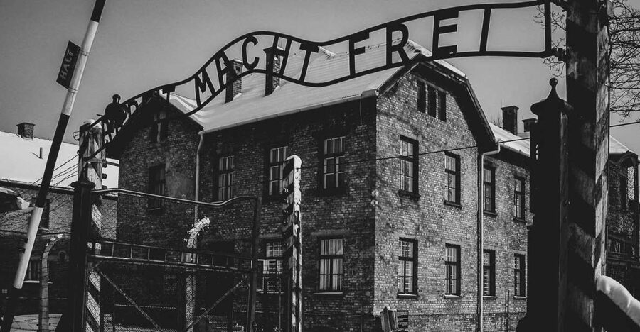 From Krakow: Auschwitz Birkenau Self-Guided Tour - The 7-hour run of show: your time blocks and what they mean