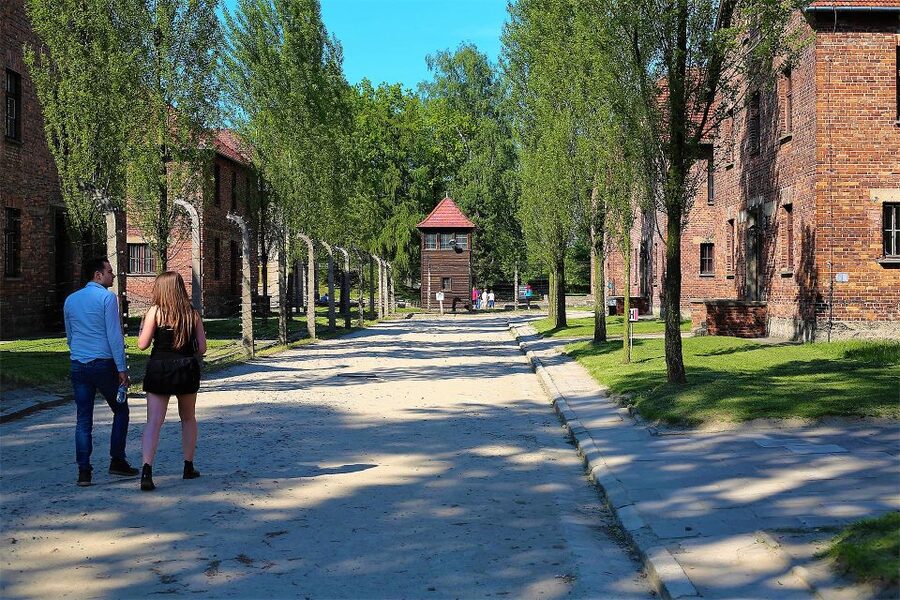 From Krakow: Auschwitz Birkenau Small Group Tour with Pickup - The air-conditioned minivan: pickup choreography that saves energy