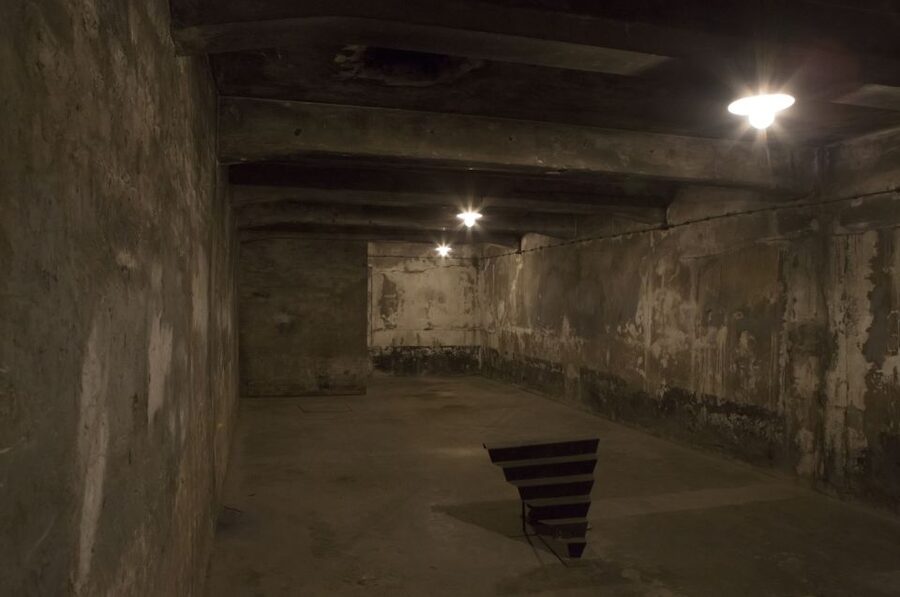 From Krakow: Auschwitz-Birkenau Tour - Key things I’d lock in before you go