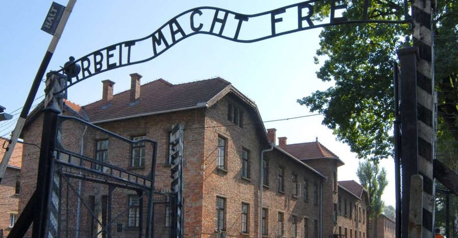 From Krakow: Auschwitz-Birkenau Tour - Practical value: how the included transport and skip-the-line work
