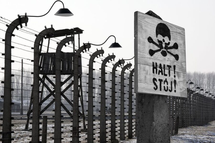 From Krakow: Auschwitz-Birkenau Tour - Pace, toilet breaks, and the real-life side of a 7-hour schedule