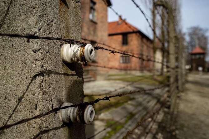 From Kraków: Auschwitz-Birkenau Tour with Lunch Box and Pick Up - Price and Value: Is $94.93 a Good Deal?