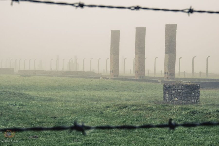 From Krakow: Auschwitz-Birkenau Tour with Transfer - FAQ