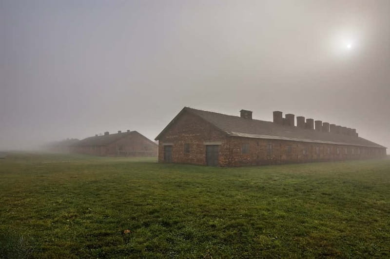 From Krakow: Auschwitz-Birkenau Tour with Transfer - Tickets, lines, and timing: how to protect your day
