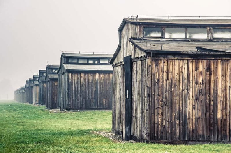 From Krakow: Auschwitz-Birkenau Tour with Transfer - Host support and language: getting the experience you came for