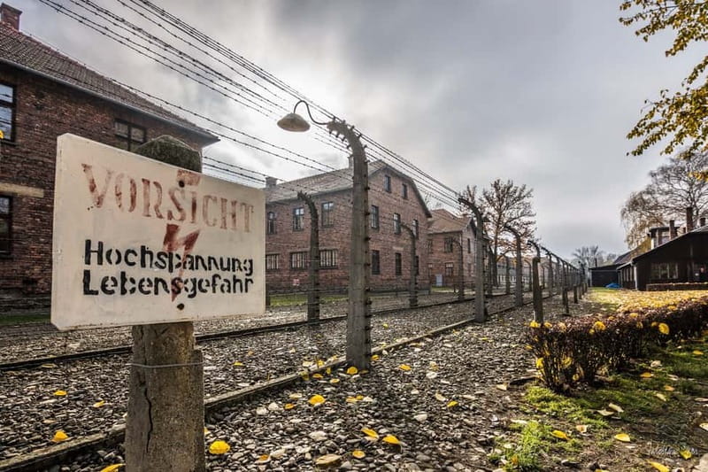 From Krakow: Auschwitz-Birkenau Tour with Transfer - Who this tour fits best (and who may want another option)