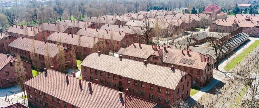 From Krakow: Auschwitz-Birkenau Tour with Transportation - Key highlights worth knowing