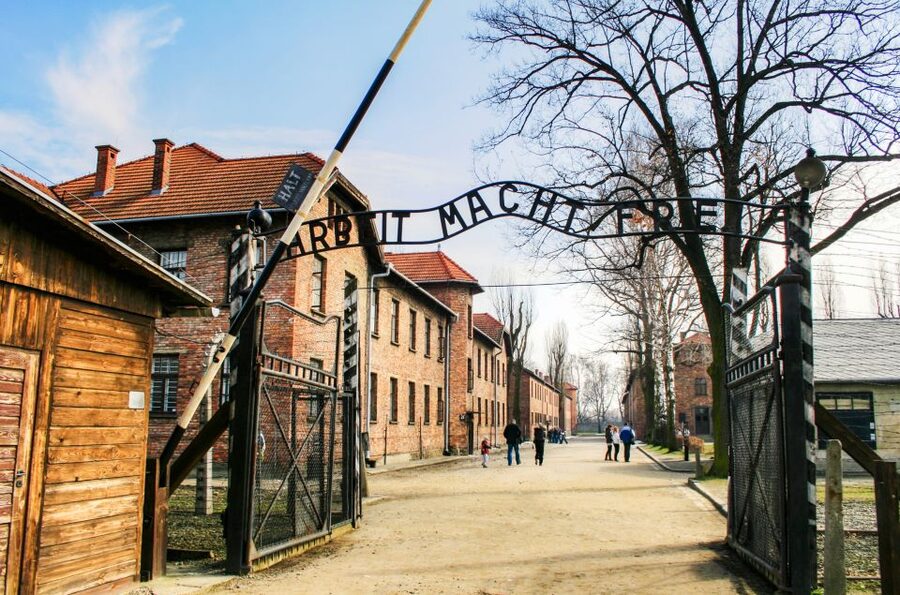 From Krakow: Auschwitz-Birkenau Tour with Transportation - Price and logistics: is $38 good value?