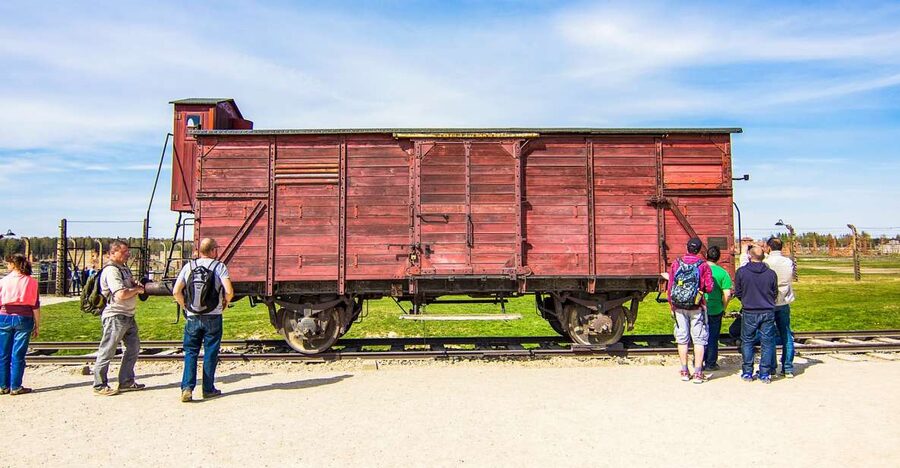From Krakow: Auschwitz-Birkenau Tour with Transportation - The air-conditioned coach ride: comfort, direction, and practical support
