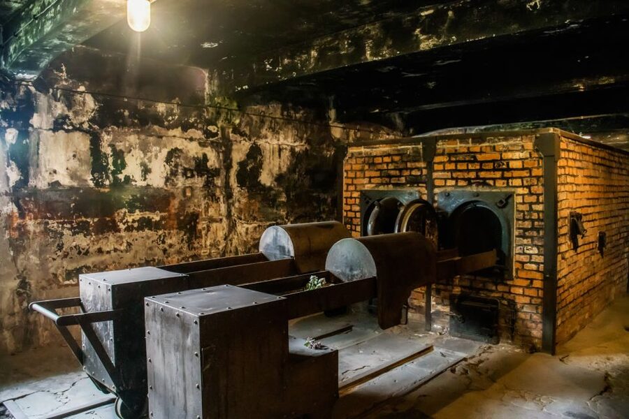 From Krakow: Auschwitz-Birkenau Tour with Transportation - Auschwitz Museum time: permanent exhibitions, barracks remnants, and photo limits