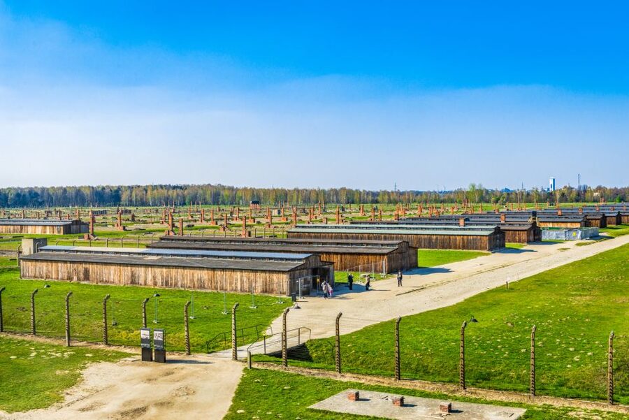 From Krakow: Auschwitz-Birkenau Tour with Transportation - Birkenau (Auschwitz II) with limited time: what you can and can’t see