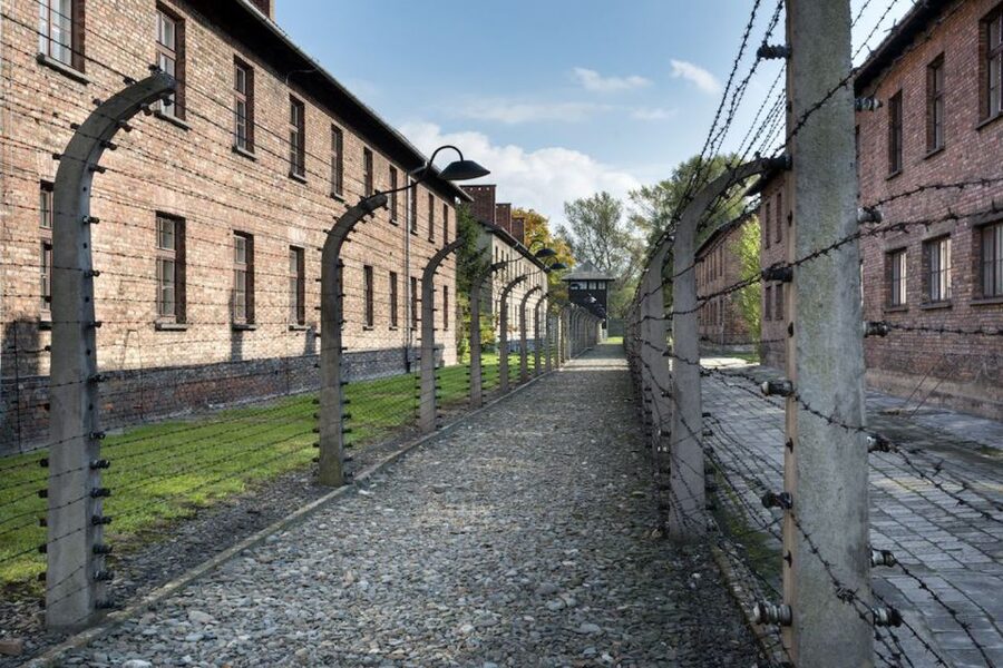 From Krakow: Auschwitz-Birkenau Tour - Auschwitz II–Birkenau: seeing scale, not just facts