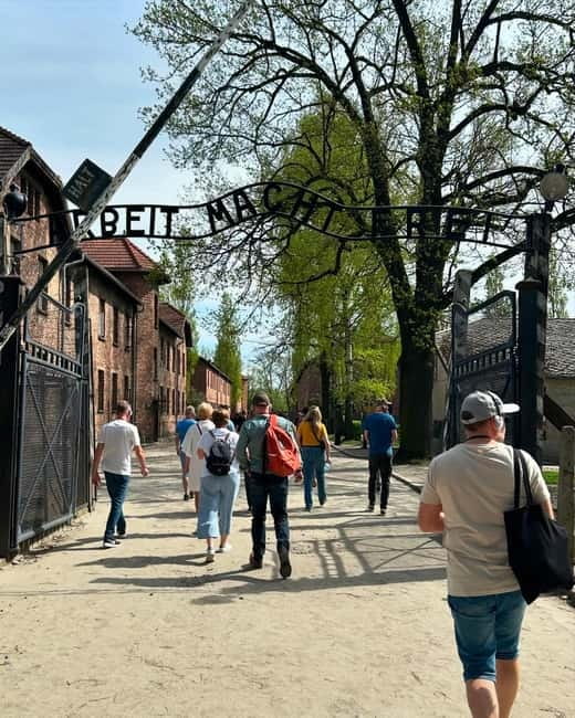 From Krakow: Auschwitz-Birkenau & Wieliczka Salt Mine Tour - Auschwitz-Birkenau: what the guided visit should help you understand