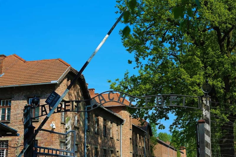 From Krakow: Auschwitz Museum and Wieliczka Salt Mine Tour - How the Kraków pickup and van ride shape your day