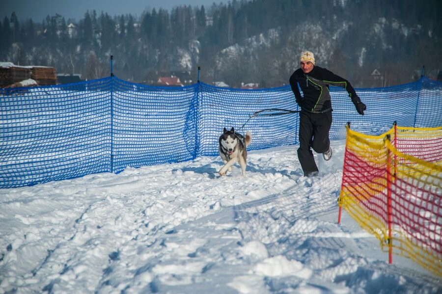 From Krakow: Dogsled Ride in Tatra Mountain - The mushing briefing: where the fun gets safer