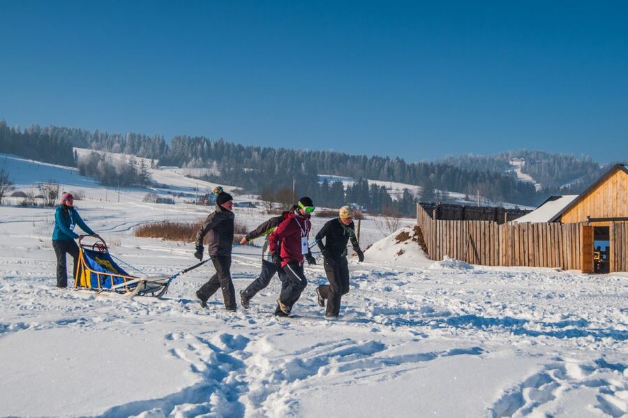 From Krakow: Dogsled Ride in Tatra Mountain - Who this trip fits best