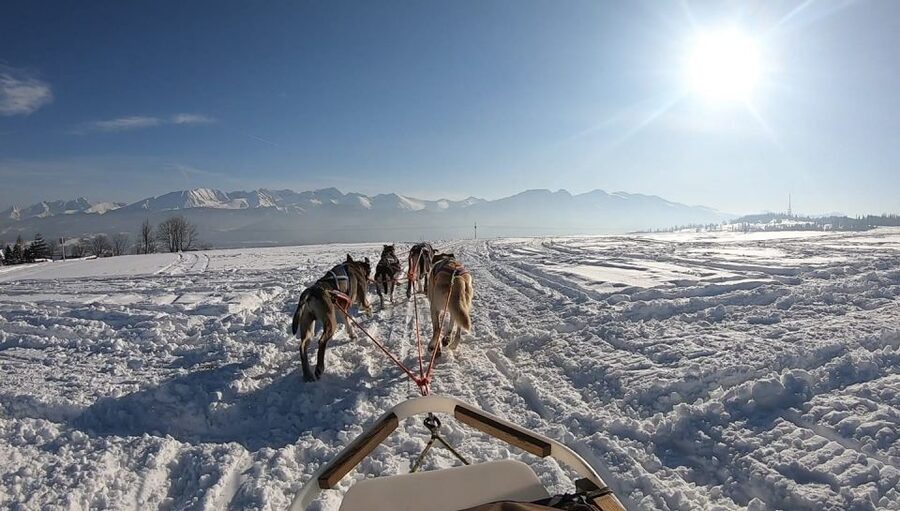 From Krakow: Dogsled Ride in Tatra Mountain - Dressing for cold: don’t underestimate the “warm enough” question