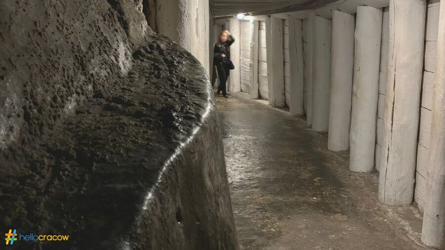 From Krakow: Guided Tour in Wieliczka Salt Mine - What You Actually Get for Around $70