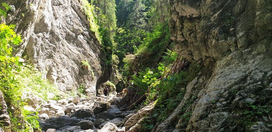 From Krakow: Hiking in the Tatra Mountains and Thermal baths - The guide makes the difference: Kamil, Lucaz, and Tomasz