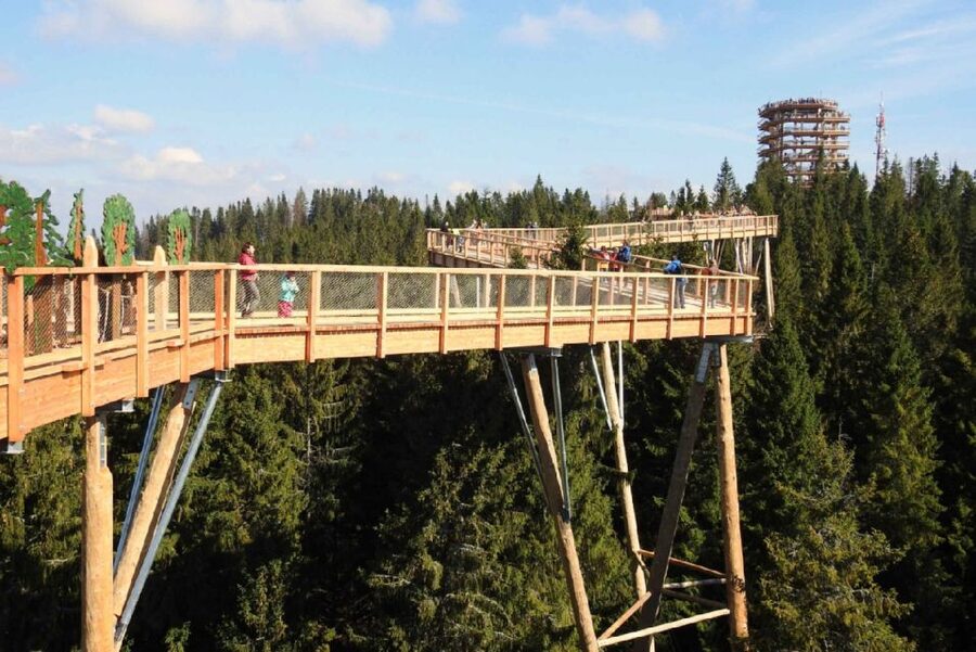 From Krakow: Morskie Oko and Slovakia Treetop Walk - Cableway Ticket in Slovakia: What It Likely Helps You Do