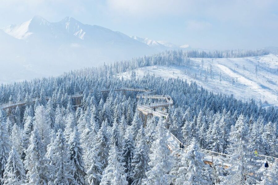 From Krakow: Morskie Oko and Slovakia Treetop Walk - Price and Value: Is $251 Worth It?
