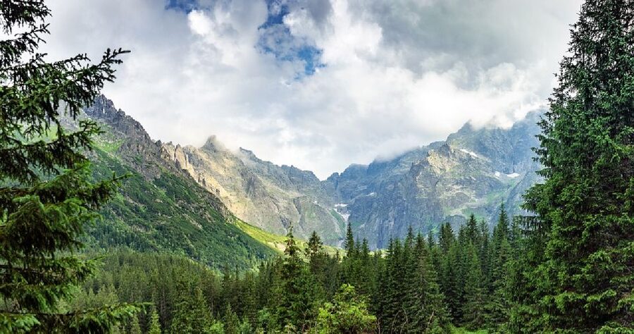 From Krakow: Morskie Oko and Slovakia Treetop Walk - Timing and What to Pack for a Smooth Day