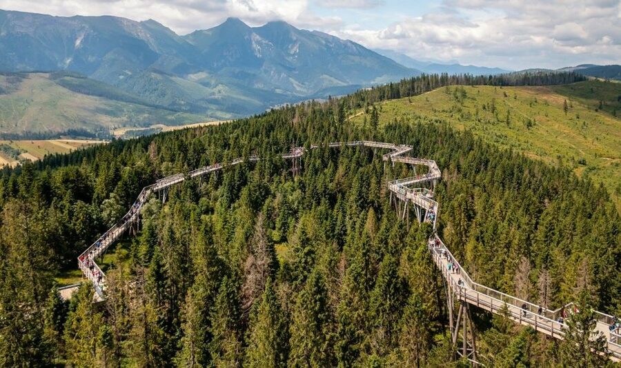 From Krakow: Morskie Oko and Slovakia Treetop Walk - The Ždiar Treetop Walk: Forest Views at 59–78 Feet
