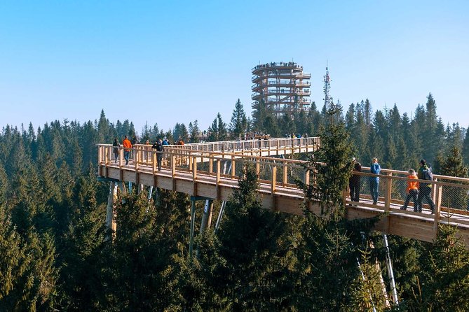From Krakow: Morskie Oko in the Tatra Mountains and Slovakia Treetop Walk - Timing and Group Size: How the Day Stays Organized