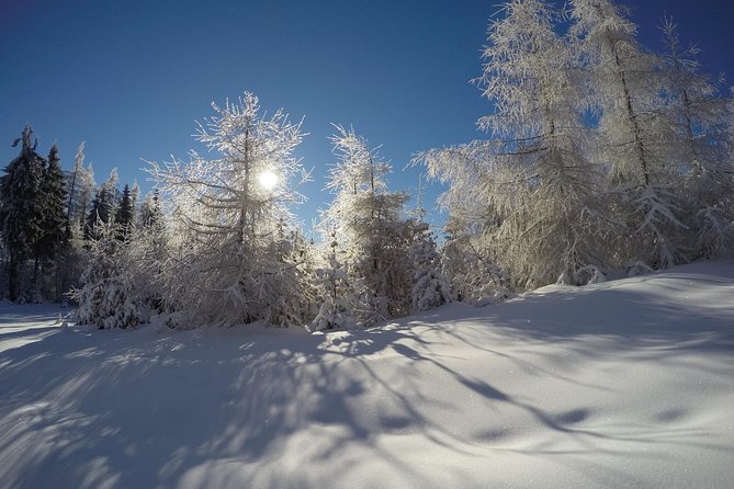 From Krakow: Siepraw Skiing for Beginners - Value Check: What You’re Really Paying For
